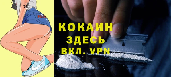 стаф Михайловск