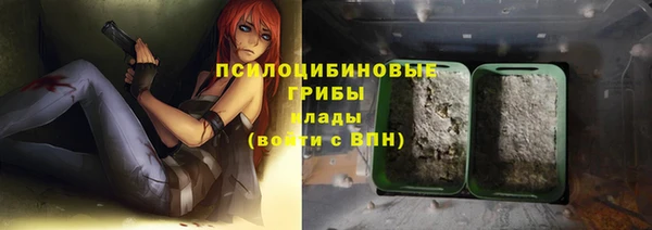 стаф Михайловск