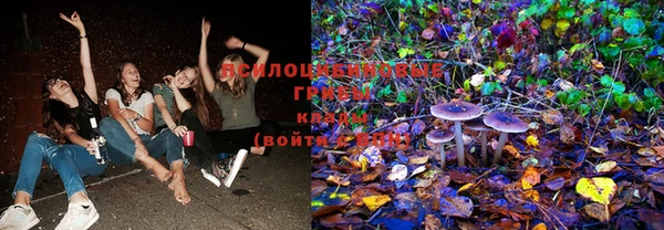 прущие крисы Михайлов