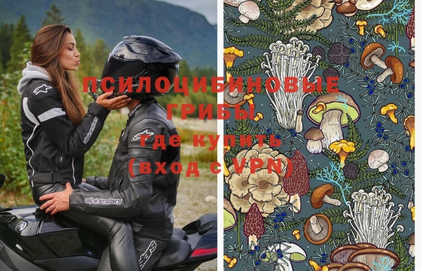 стаф Михайловск