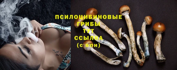 стаф Михайловск