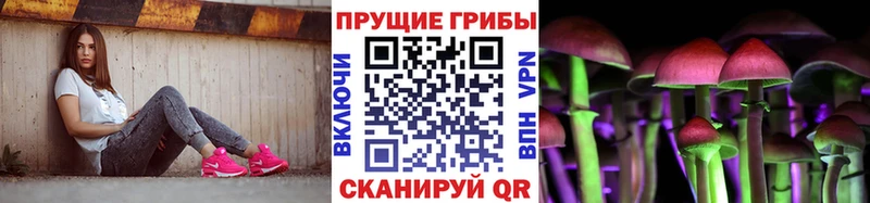 Галлюциногенные грибы прущие грибы  Уфа 
